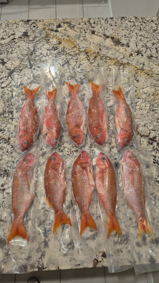 Caribbean Small Snapper – 10 lb Box (1 lb Each) | Flash Frozen | 2-Day Delivery