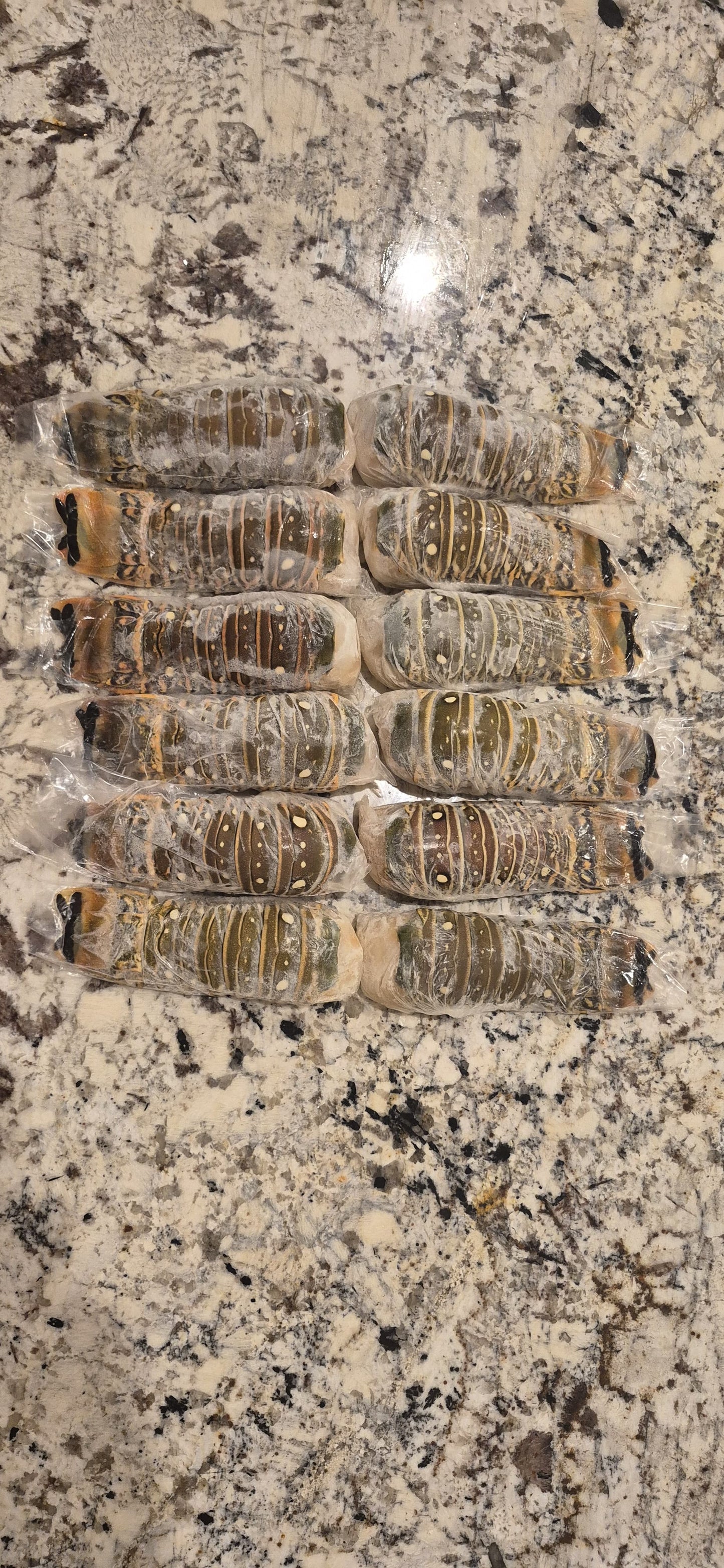 Family Seafood Combo – Caribbean Lobster, Snapper & Seafood Mix (Ships in 2 Days)