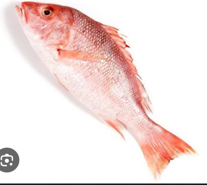 Family Seafood Combo – Caribbean Lobster, Snapper & Seafood Mix (Ships in 2 Days)